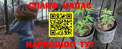 мдпв Кохма