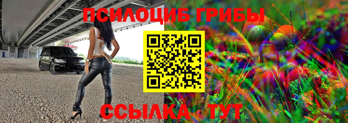 Галлюциногенные грибы мицелий  Вход с VPN  Сибай 